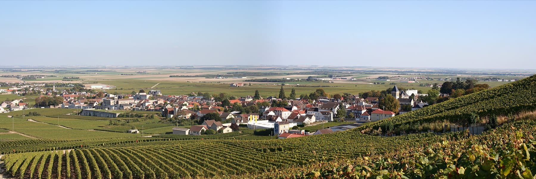 Met de jeep door de wijngaarden van Épernay