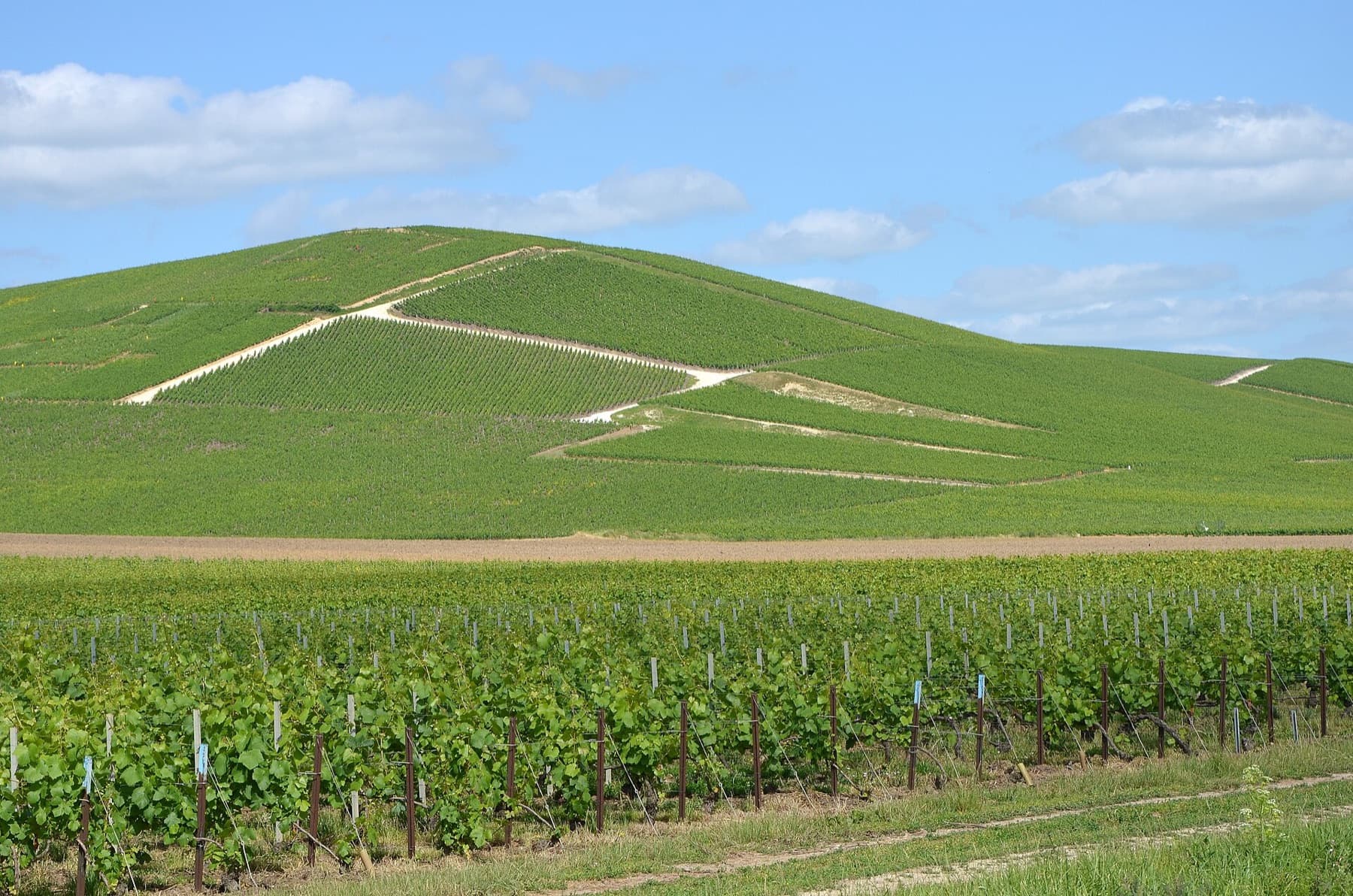 Champagne Domaine Sacret