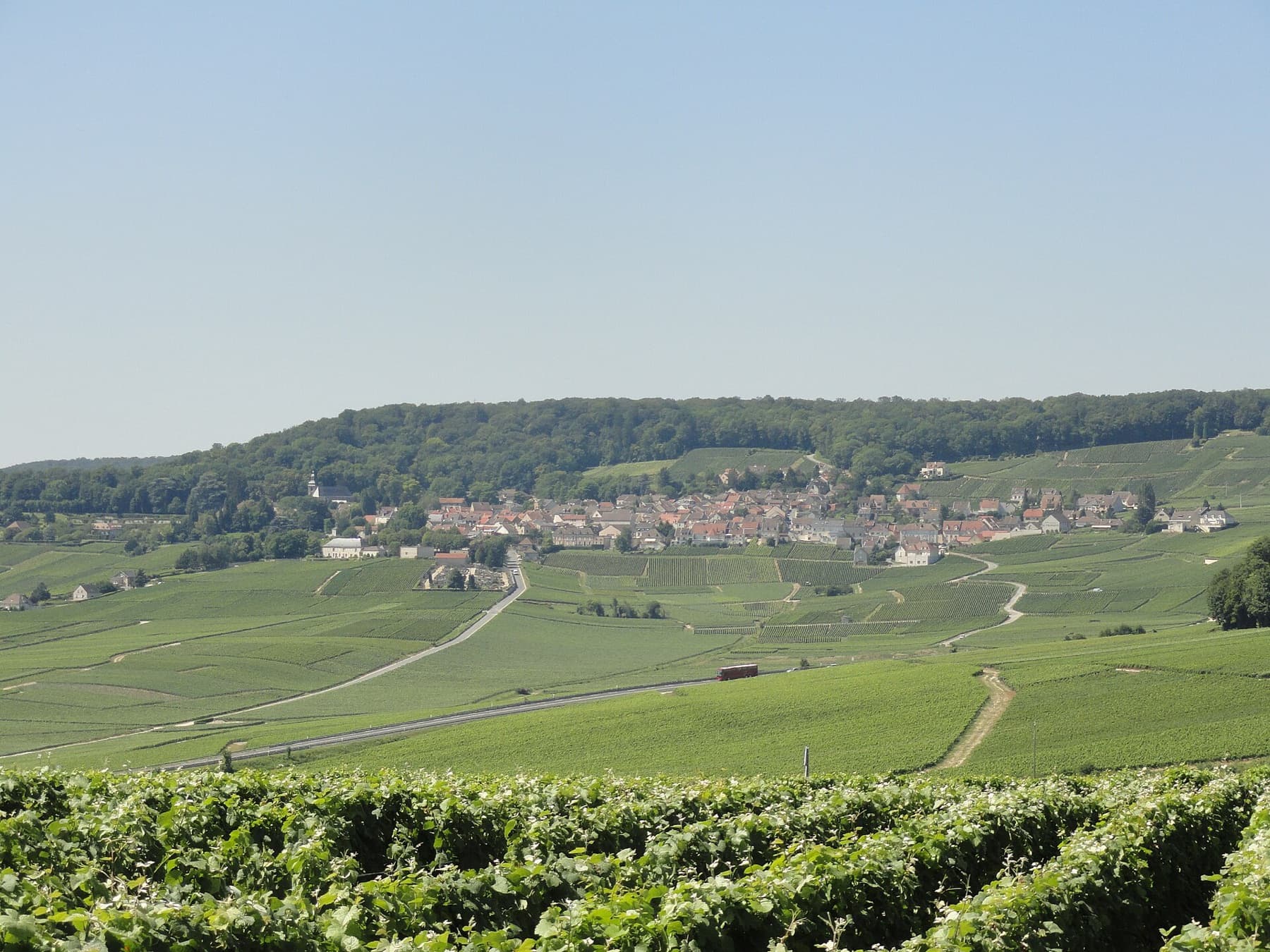 Hautvillers: het dorp van Dom Pérignon