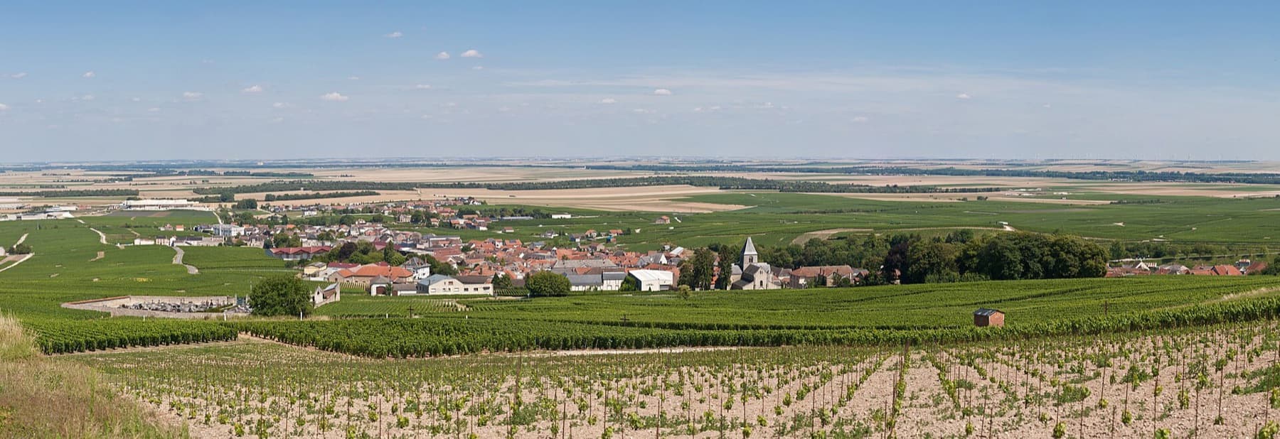 Halve dag langs de grand-crudorpen vanuit Épernay
