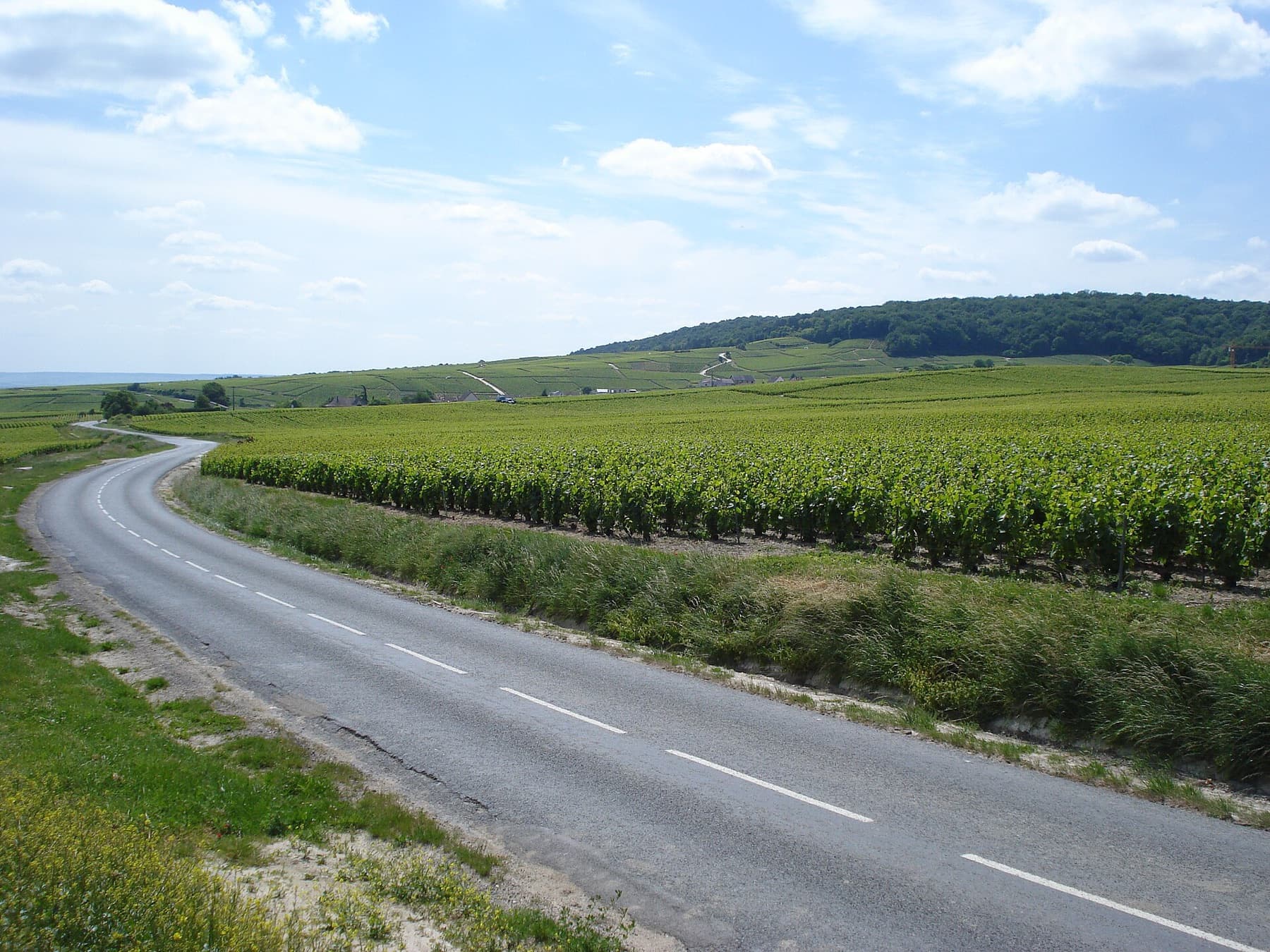E-bike tour door de Montagne de Reims